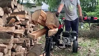 RELYARD 6.5HP 18TON GASOLINE HYDRAULIC LOG SPLITTER