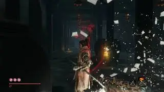 Sekiro: Shadows Die Twice Farming  (741 Exp every 2 minutes)