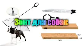 Зонт для собак