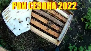 Рои сезона 2022