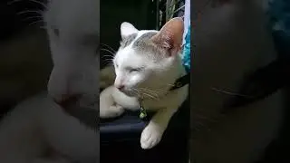pa subscribe po salamat