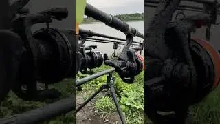 Рибалка Карпфішинг