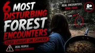 6 Forest Encounters That Will Make You Question Reality