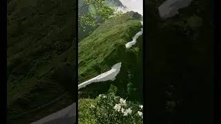 nature mountain background  with music |NCM