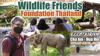 Full-day tour at Wildlife Friends Foundation - Best Thing to do near Hua Hin, Thailand