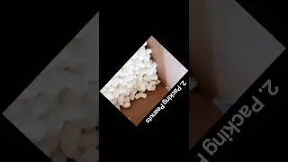 Things I've NEVER Eaten (Part 5)