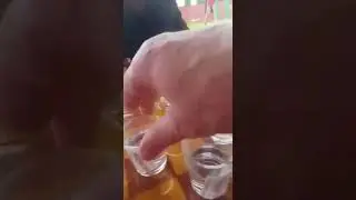 Игра в шашки алкоголем