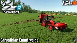 Точечное ОПРЫСКИВАНИЕ СОРНЯКА на МТЗ-82.3 | FS22 | Carpathian Countryside - Timelapse #27