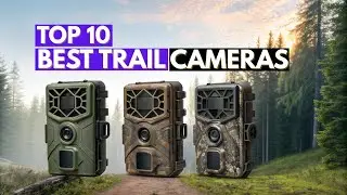 The 10 Best Trail Cameras in 2026 - Wildlife, Hunting & Security Picks