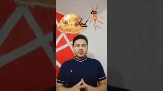 Toda la verdad sobre las fracturas óseas. Desde el impacto hasta la reconstrucción.