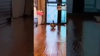 стучки на тучку