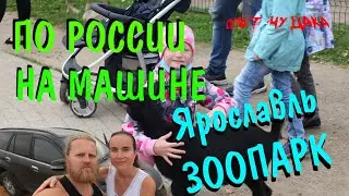 Ярославль Зоопарк. Прогулка по Ярославлю. Ярославль куда сходить. Путешествие на машине в Ярославль.