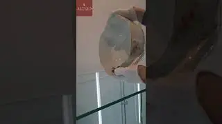 Супница "Бархатцы". Россия, фабрика Братьев Корниловых, конец XIX - начало XX в #shorts #антиквариат