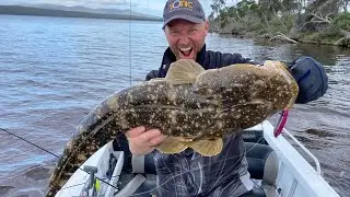 Glidebaits in the Shallows go off!  .....G2 Series Mini's