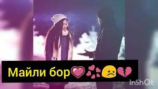 💞💖💕💗🎧🎼🎶🎧 Майли бор. #uzbek #узбек