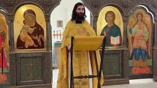 Проповедь по притче о сеятеле