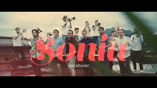 vocabular - Sonia (feat. Rooftop Monkeys & Vas Angelov)