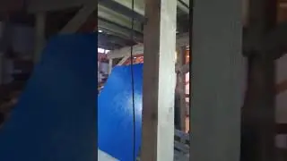 Живи и строй