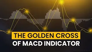 The GOLDEN CROSS Of MACD Indicator