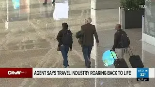 Travel industry comes back to life