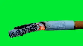 Burning cigarette smoking green screen || Cigarette Green Screen Background Video