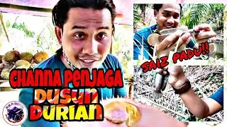 Dusun Durian 
