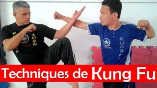 Masters of Wing Chun Kung Fu Demonstration Techniques - Arts Martiaux Et Autodéfense #Shorts