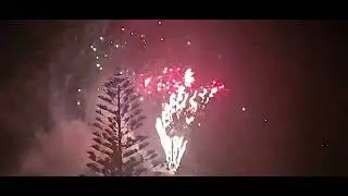 WOW... THE END OF THESE NEW YEARS DAY FIREWORKS AT HARRINGTON ARE AWESOME!