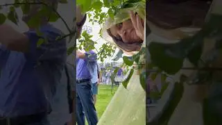 Самый запоминающийся концерт когда попал под сильный дождь