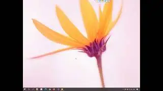 Windows: Copy files to multiple matching sub-folders of the destination folder using Copywhiz