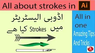 What is strokes in Adobe illustrator Create many thing with help of strokes