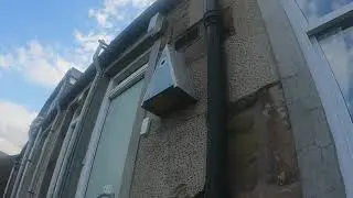 Busy Little Blue Tits
