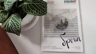 РОЗЫГРЫШ PANNA дубль 2