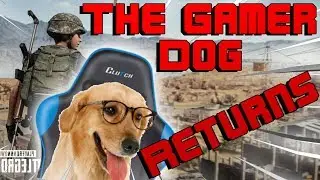The Return Of The Gamer Dog.