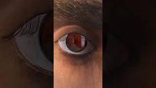 Realistic Mangekyou Sharingan (Kakashi/Obito) to Rinnegan in REAL LIFE: 3D Iris - No 2D Overlay