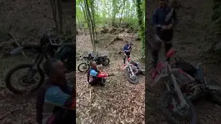 Сильно проголодались 