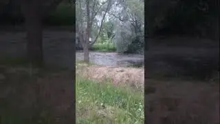 тверской колорит