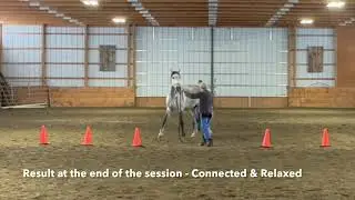 Highlights - May 7th 2023. Lessons, Clinics and horsemanship games!!