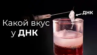ДОСТАЛИ ДНК ИЗ ФРУКТОВ И ПОПРОБОВАЛИ НА ВКУС