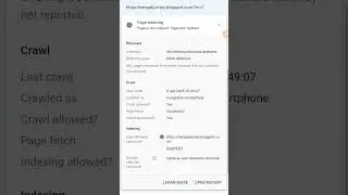 Page With Redirect | Blogger Index Problem Salve