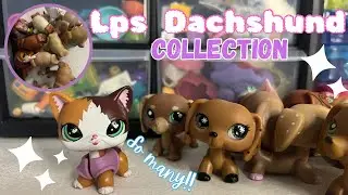 Lps: Dachshund collection!!