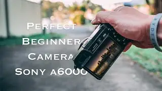SONY a6000 - Perfect Beginner Camera!