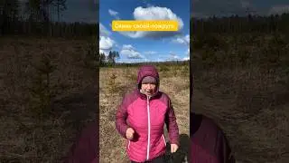 Знаешь кому кинуть #shorts