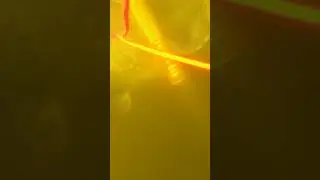 ПОИСК РАНЕННОГО МОНСТРА!!! 