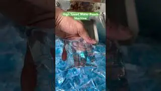 High Speed Water Pouch Packing Machine Viral Short Video #startup #business