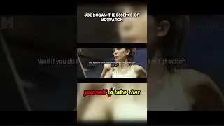 Your Potential: Embrace the Struggle! #joerogan #motivation #shorts