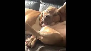 Доброе утро #приколы #funny#short