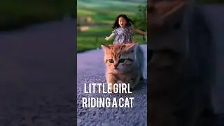 little girl riding a cat 
