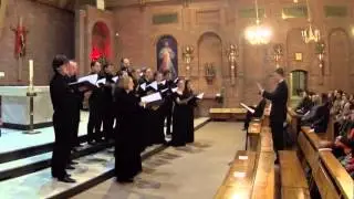 Whitacre - A Boy And A Girl