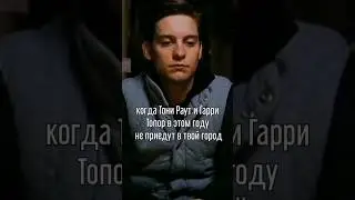 #тонираут #гарритопор